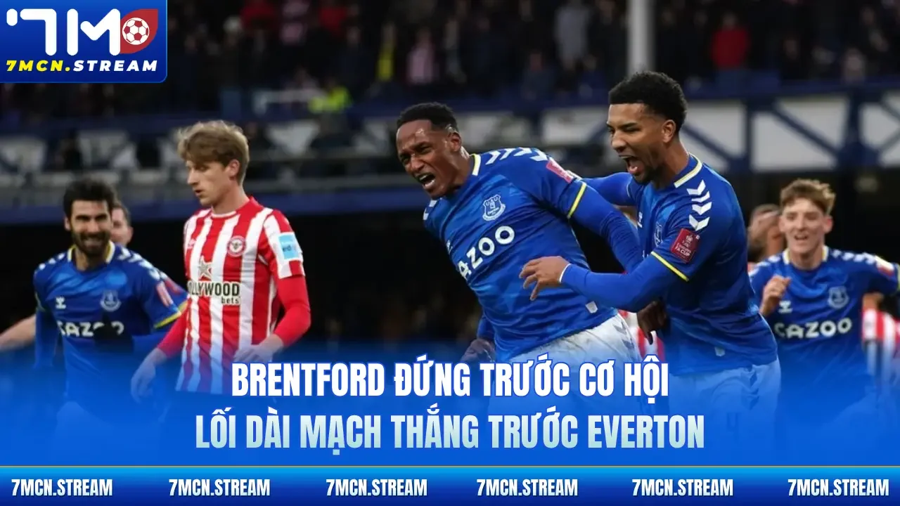 Brentford đứng trước cơ hội lối dài mạch thắng trước Everton